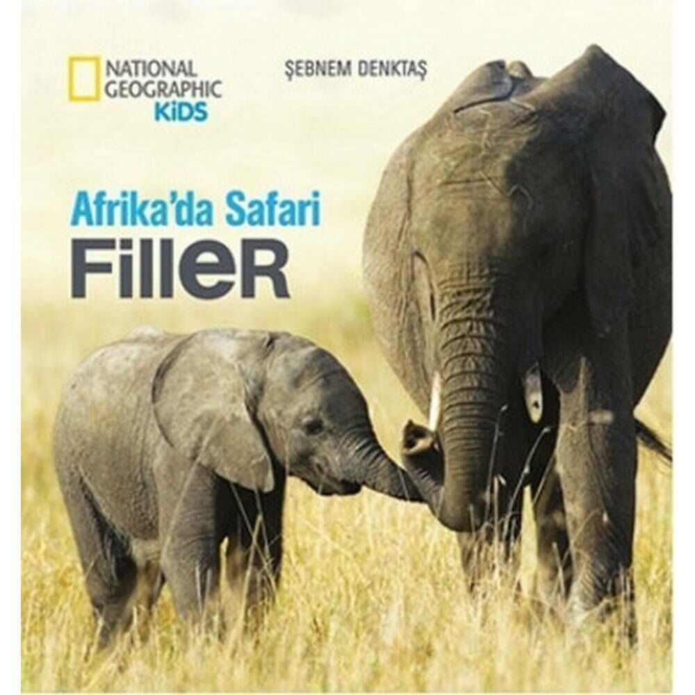 National Geographic Aslanlar Seviye 1