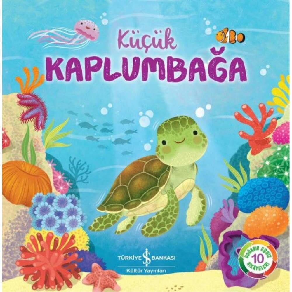 Doğanın Eşsiz Hikayeleri 10 Küçük Kaplumbağa