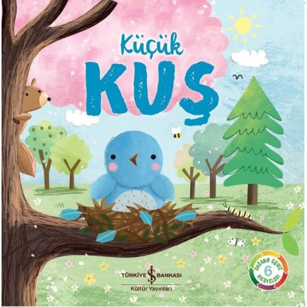 Doğanın Eşsiz Hikayeleri 6 Küçük Kuş