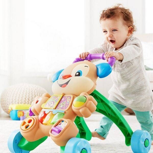 Fisher Price Eğitici Köpekçik Yürüteç Türkçe FTG10
