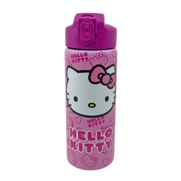 Hello Kitty Çelik Matara 3447 615624