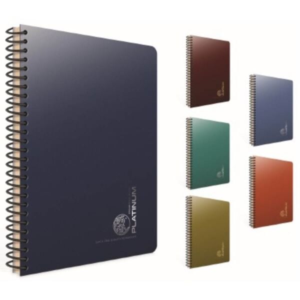 Platinum 17x24 100 Yaprak Kareli Plastik Kapak Spiralli Defter 5693