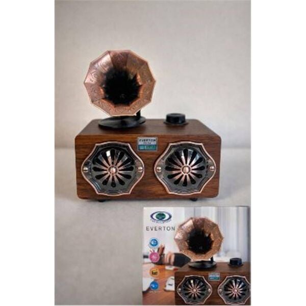 Everton Rt-744  Bluetooth Fm-Usb-Tf-Aux  Şarjlı Nostaljik Radyo