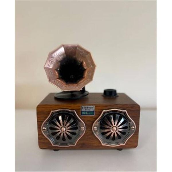 Everton Rt-744  Bluetooth Fm-Usb-Tf-Aux  Şarjlı Nostaljik Radyo