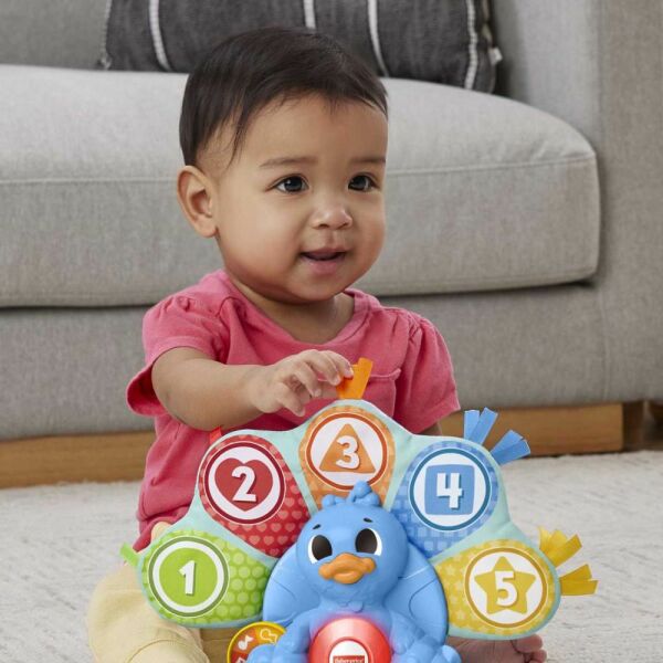 Fisher Price Rengarenk Tavus Kuşu HNN82