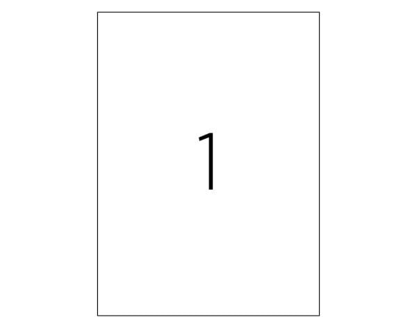 Tanex TW-2000 210x297 mm Laser Etiket