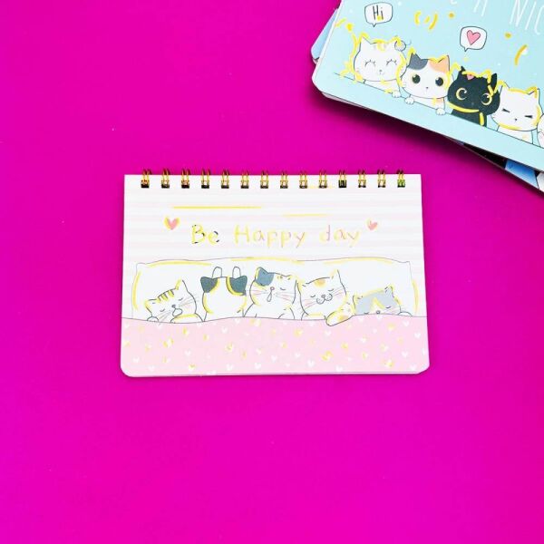 Bam 1314 Kedi 13x19 Spiralli Planner