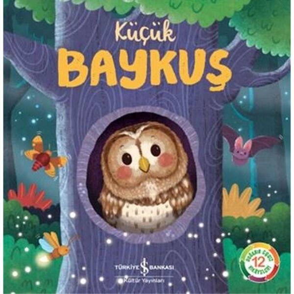 Küçük Baykuş