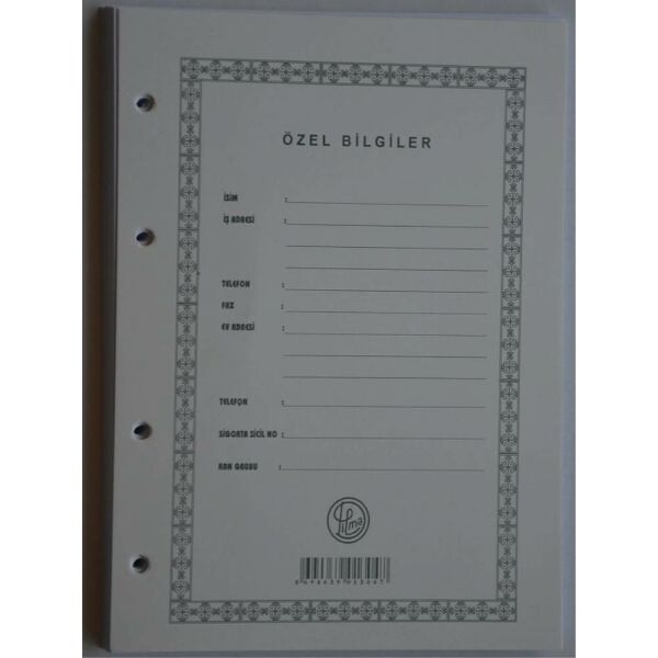 Dilman Cari Hesap Klasörü Yedeği A4 1303