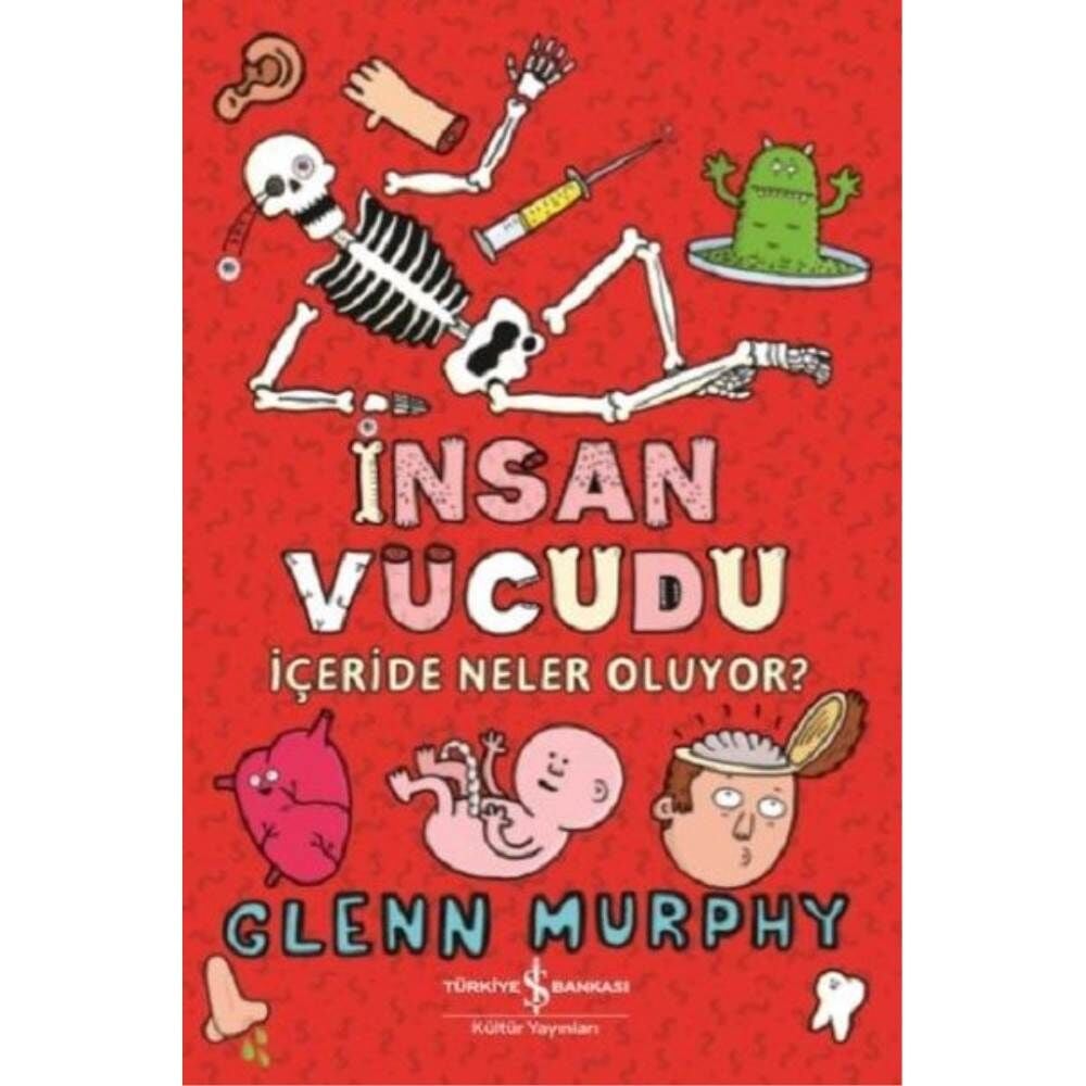 İnsan Vücudu İçeride Neler Oluyor
