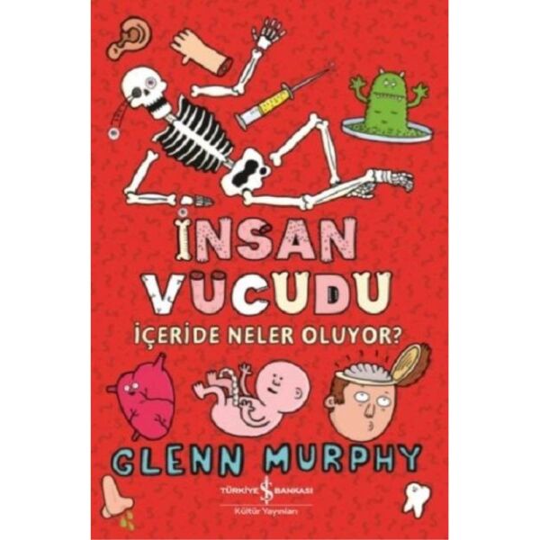 İnsan Vücudu İçeride Neler Oluyor