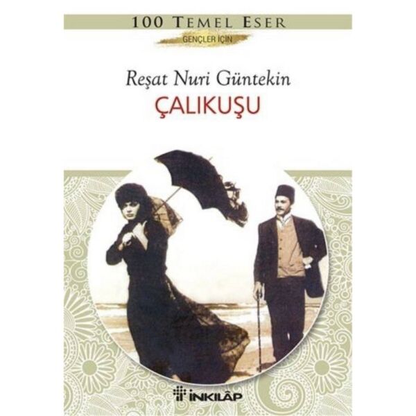 Çalıkuşu Özet Gençler İçin