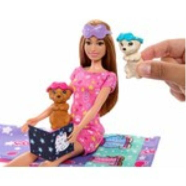 Barbie ve Köpekçikleri Pijama Partisi HXN01