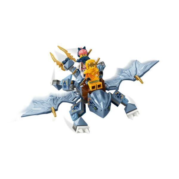 LEGO® NINJAGO Genç Ejderha Riyu 71810