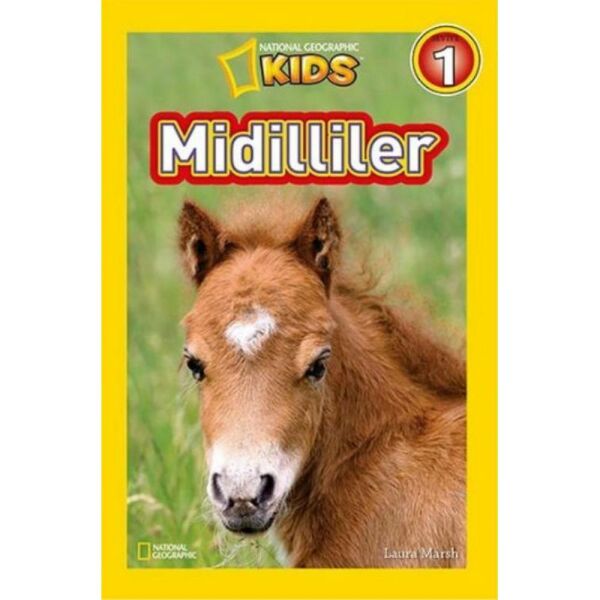 National Geographic Midilliler Seviye 1