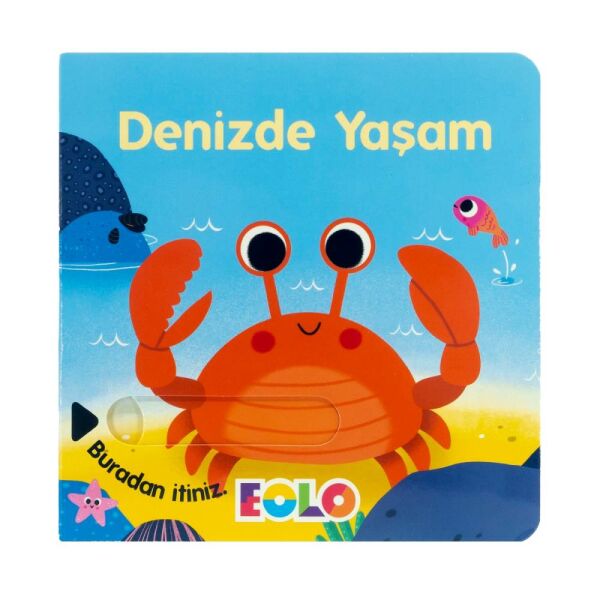 Eolo Hareketli Kitap Denizde Yaşam