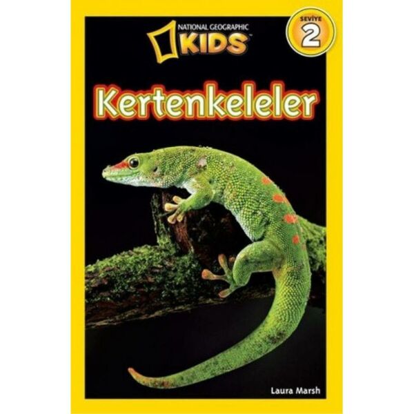 National Geographic Kükre Seviye 3