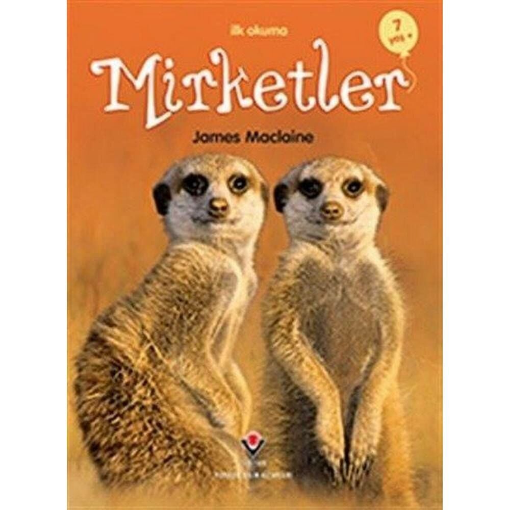 İlk Okuma Mirketler