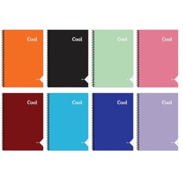 Cool A4 60 Yaprak Kareli Plastik Kapak Spiralli Defter
