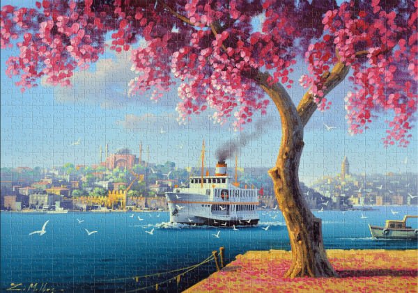 Hagia Sophia and Ferry 1000 Parça Puzzle 20744