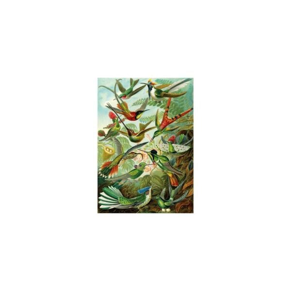 Hummingbirds 1500 Parça Puzzle 22030
