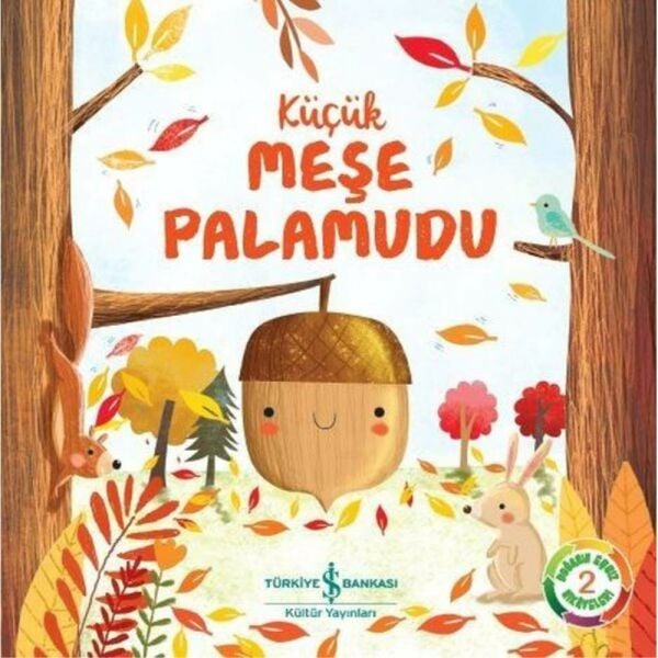 Doğanın Eşsiz Hikayeleri 2 Küçük Meşe Palamudu