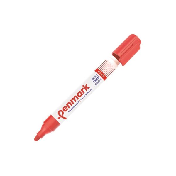 Penmark Tahta Kalemi Seti 3+1