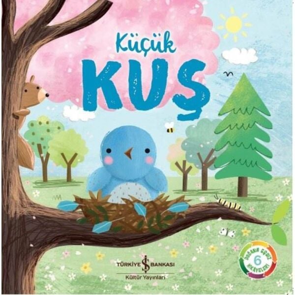 Doğanın Eşsiz Hikayeleri 6 Küçük Kuş
