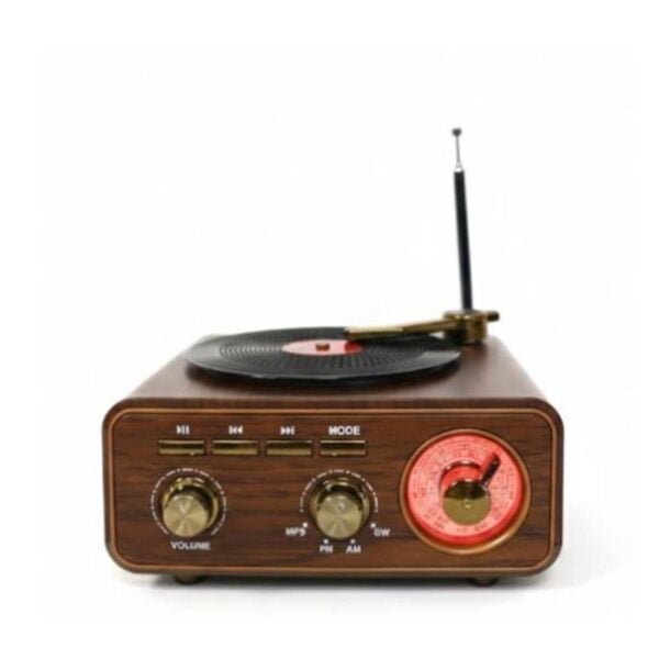 Everton RT-1317bt  Bluetooth Usb-Micro Plak Radyo