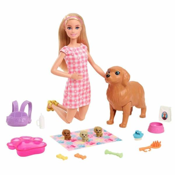 Barbie Welness Işıltı Dolu Spa Günlüğü Oyun Seti HCM82