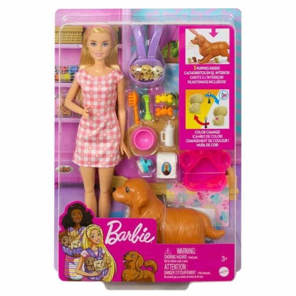 Barbie Welness Işıltı Dolu Spa Günlüğü Oyun Seti HCM82