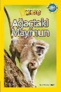 Natıonal Geographıc-Ağaçtaki Maymun