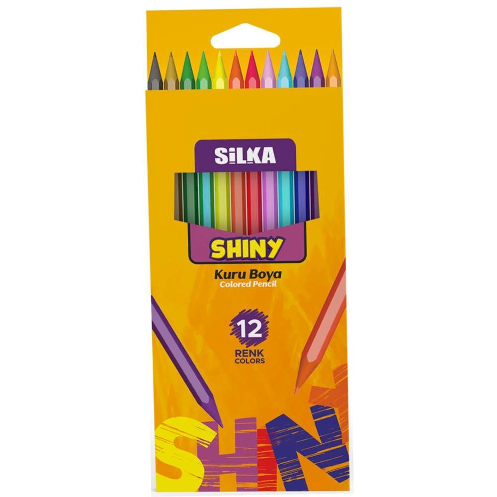 Silka Kuru Boya Hex Shıny 12 Renk Tam Boy Art.86
