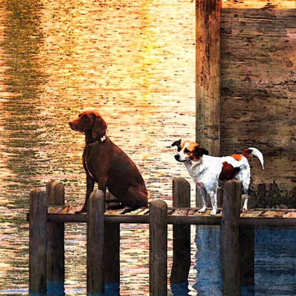 American Harbour Sunset 3000 Parça Puzzle 23023