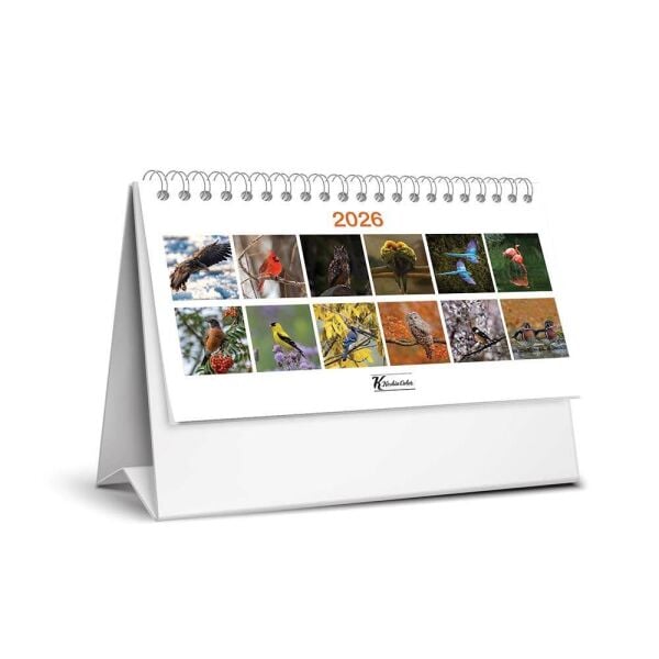 Keskin 2026 Kare Masa Takvimi Kuşlar