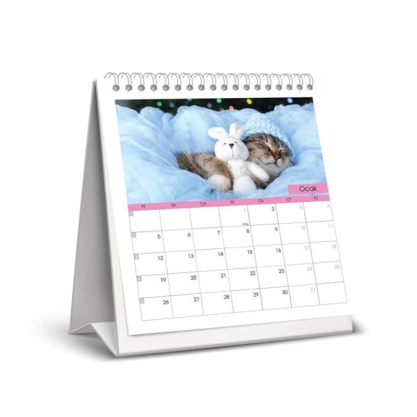 Keskin 2026 Kare Masa Takvimi Kediler