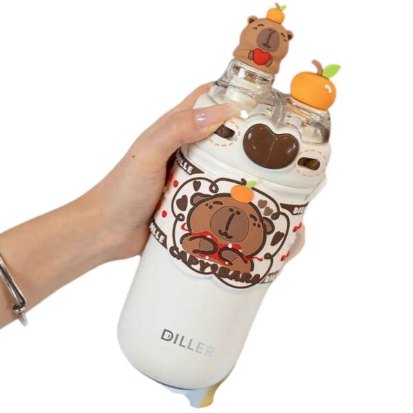 Diller D9235 520 ml Paslanmaz Çelik Termos Matara