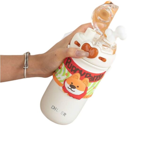 Diller D9239 520 ml Paslanmaz Çelik Termos Matara