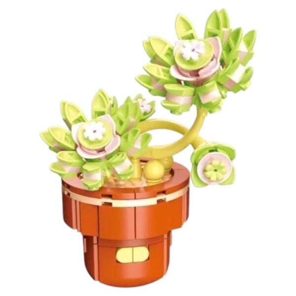 Ocean 113-17 Graptopetalum Saksılı Çiçek Lego