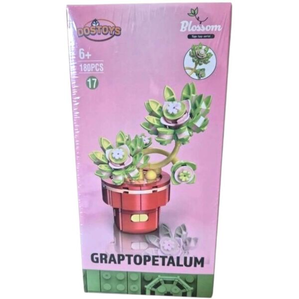 Ocean 113-17 Graptopetalum Saksılı Çiçek Lego