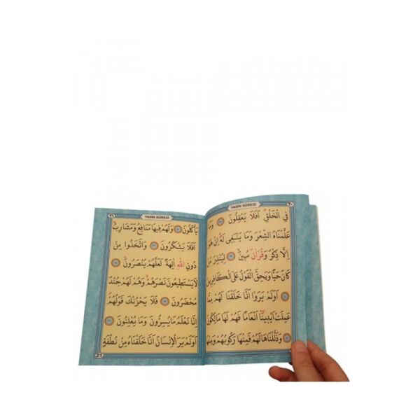 Ayfa Yasin Çanta Boy Tükçe Okunuşlu ve Açıklamalı 096