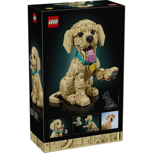 LEGO® Icons Yavru Golden Retriever 11384