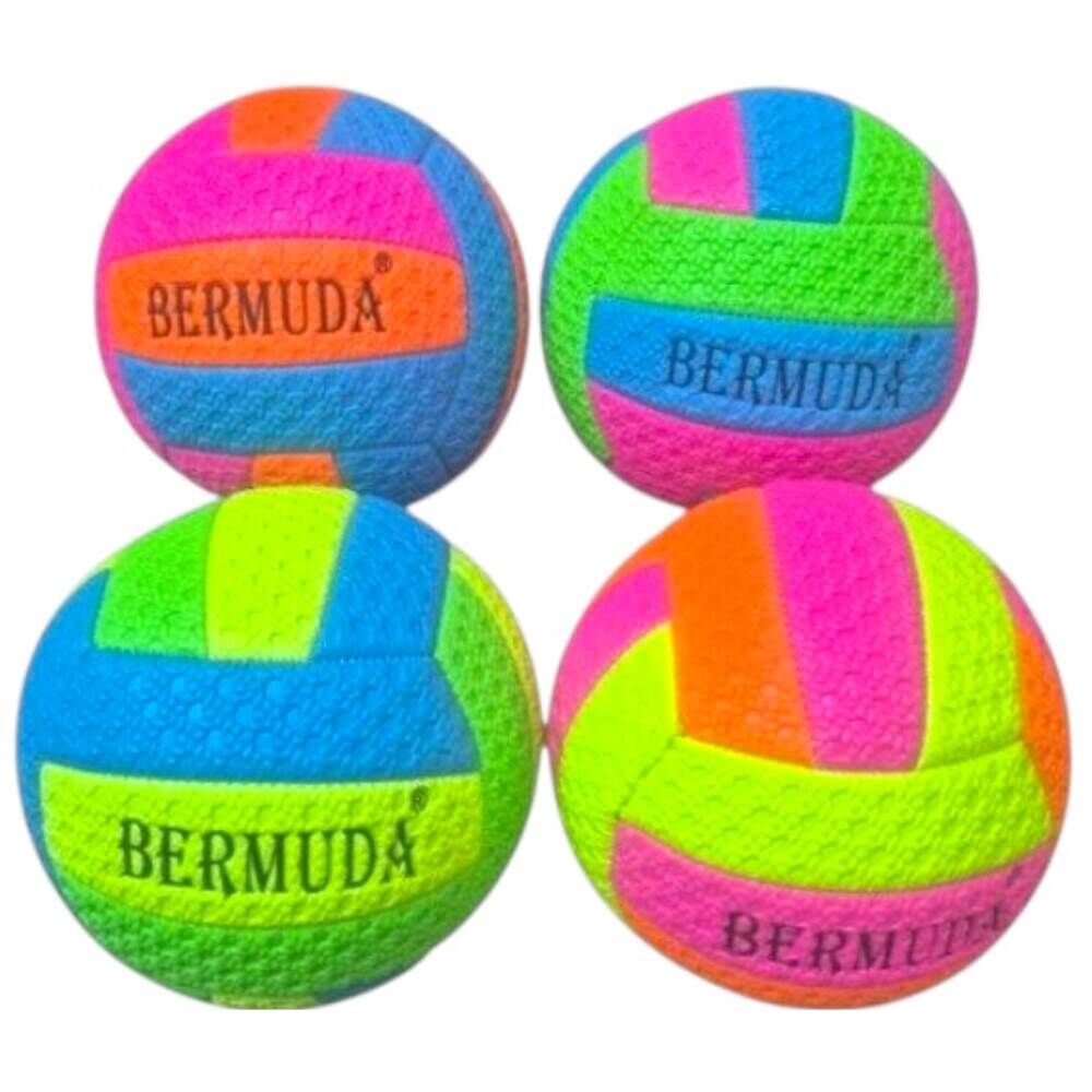 Hentbol Topu 2410081