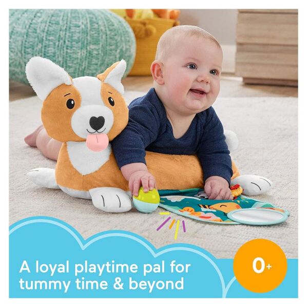 Fisher Price 3'ü 1 Arada Köpekçik Uzanma Yastığı HJW10