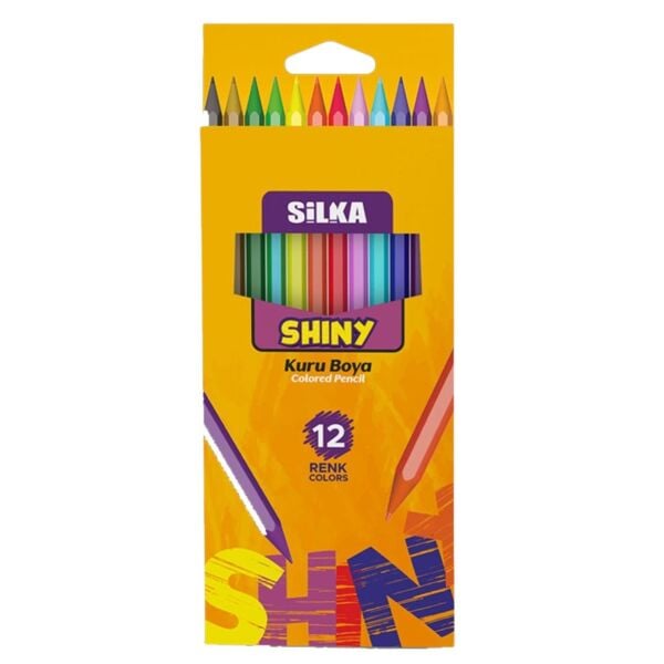 Silka Shiny Kuru Boya 12 Renk Art-K0001