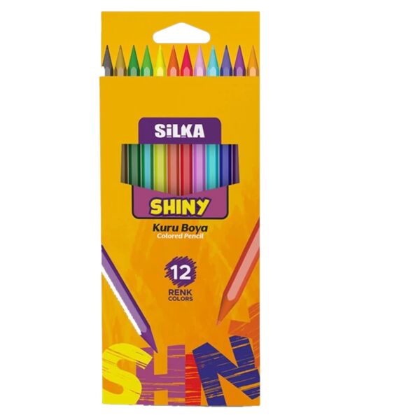 Silka Shiny Kuru Boya 12 Renk Art-K0001