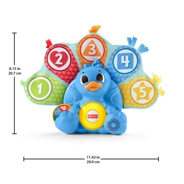 Fisher Price Rengarenk Tavus Kuşu HNN82