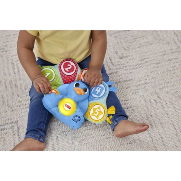 Fisher Price Rengarenk Tavus Kuşu HNN82