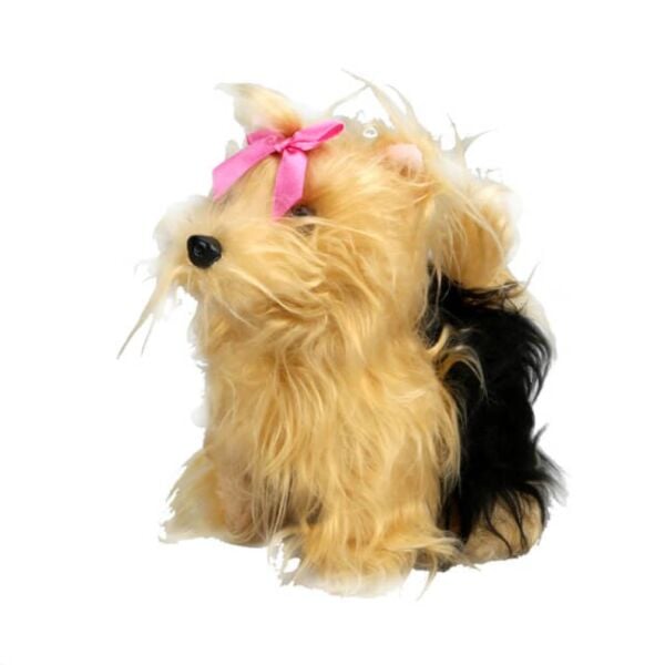 Sevimli Köpek Terrier