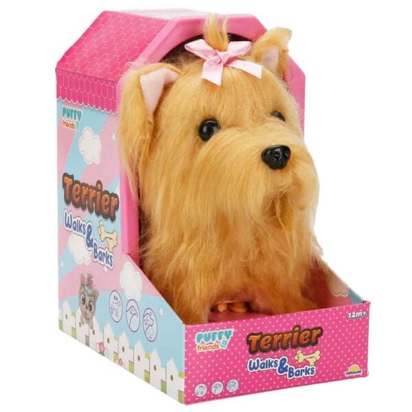 Sevimli Köpek Terrier